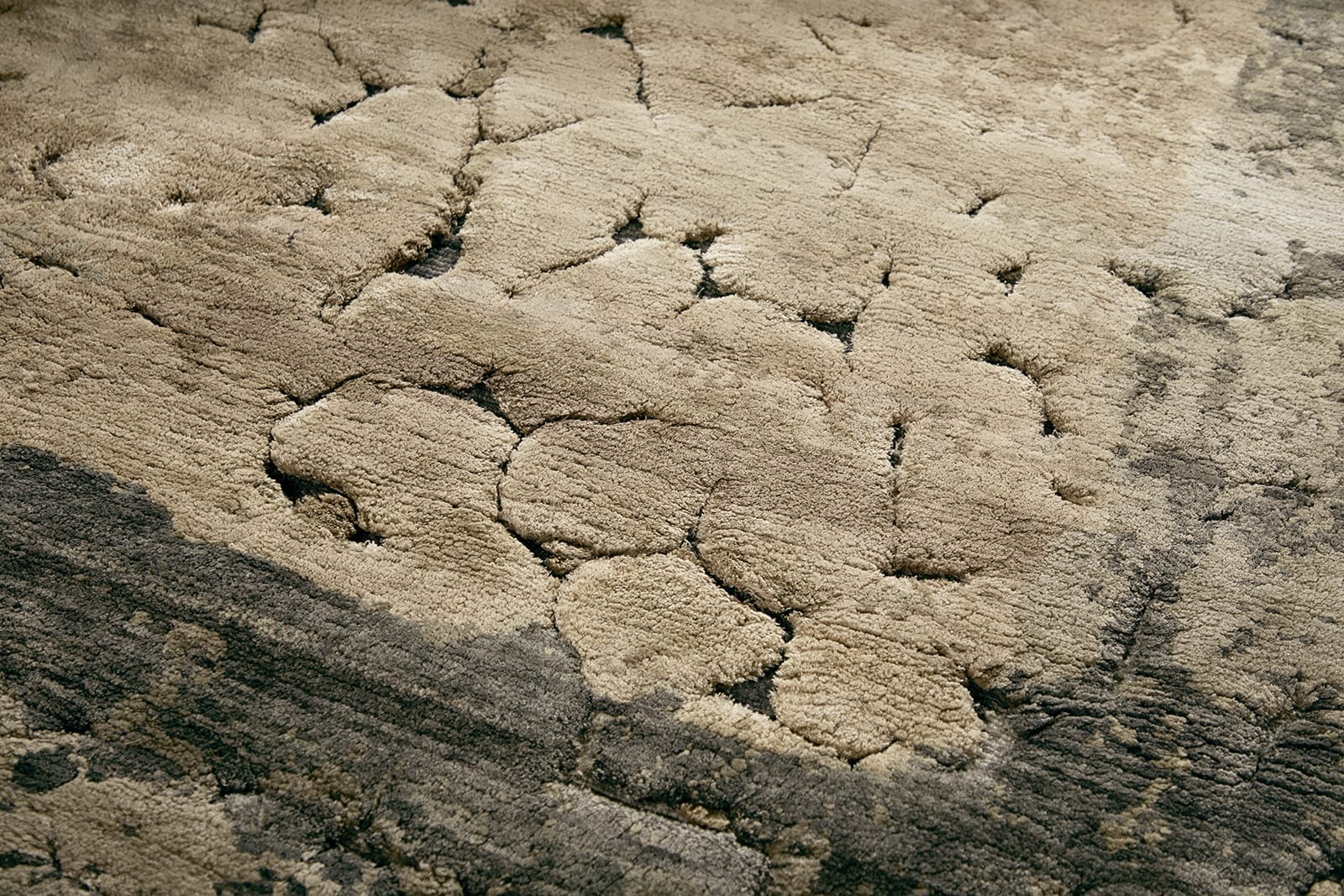 FOSSILBED SANDSTONE